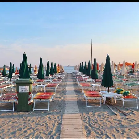 Albi Apartmet Beachfront In Apartment