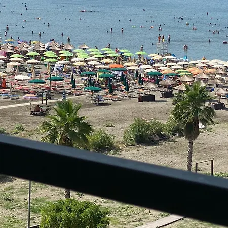 Albi Apartmet Beachfront In Apartment