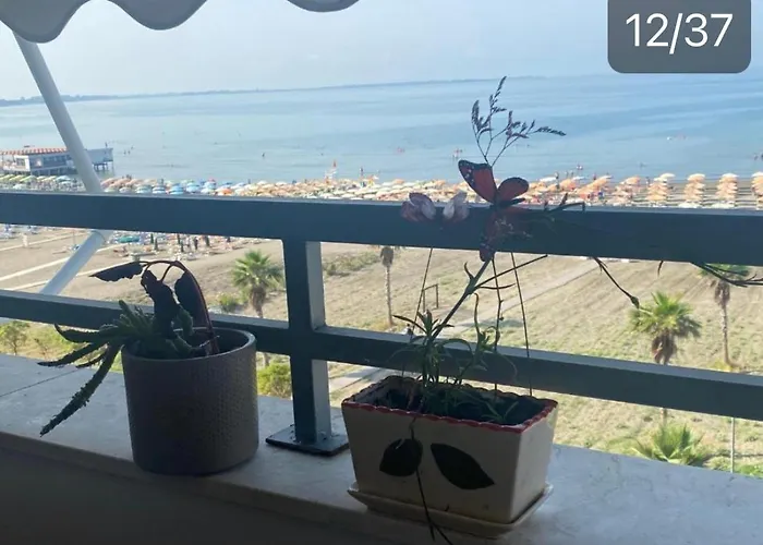Albi Apartmet Beachfront In *