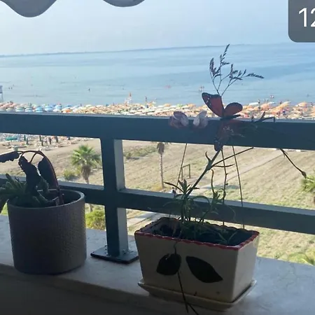Albi Apartmet Beachfront In *