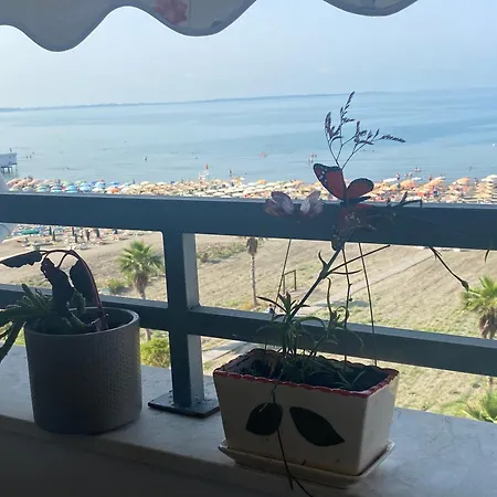 Daire Albi Apartmet Beachfront In