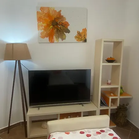 Apartment Albi Apartmet Beachfront In Shengjin (Lezhe)