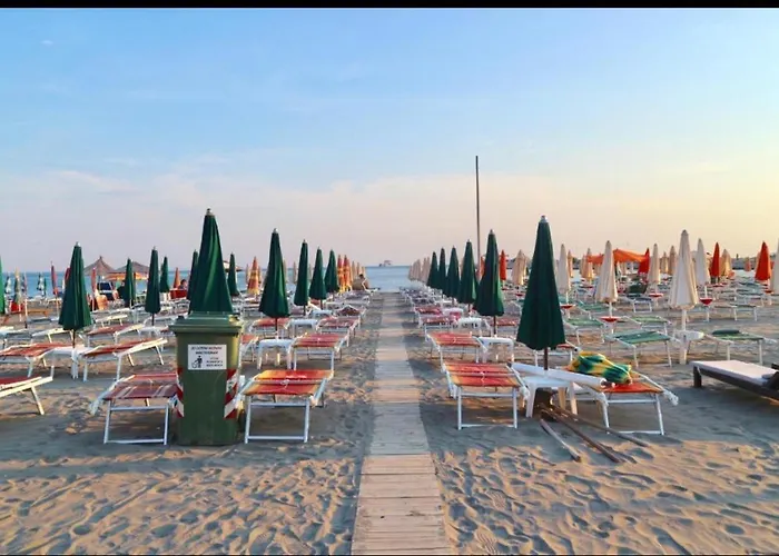 Albi Apartmet Beachfront In Appartement